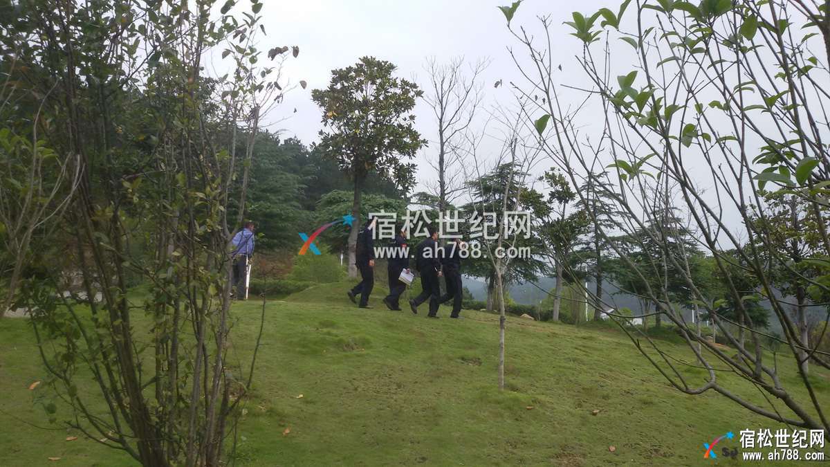 132147bv7zujhhjyul7e5b_副本.jpg