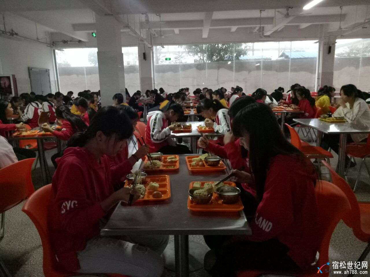 自助餐2.jpg