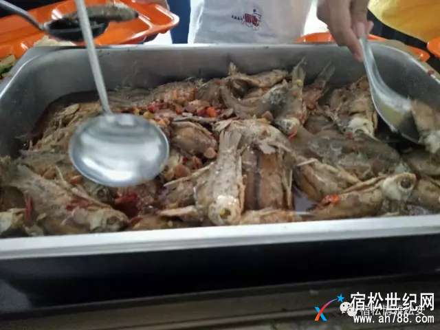 鱼.webp.jpg
