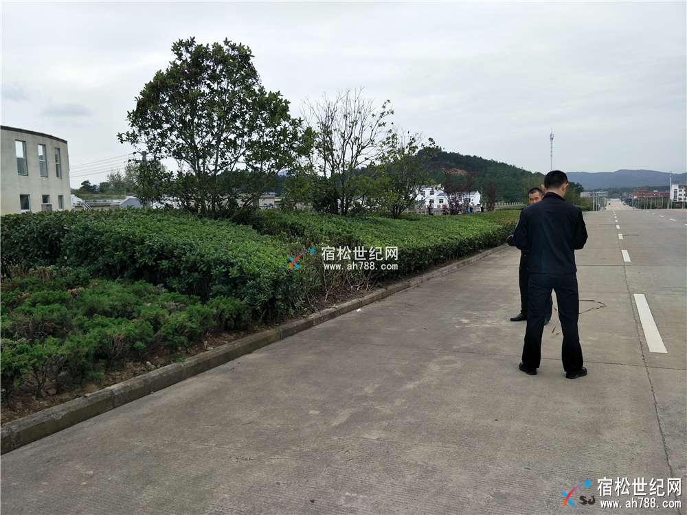 IMG20171014091023.jpg