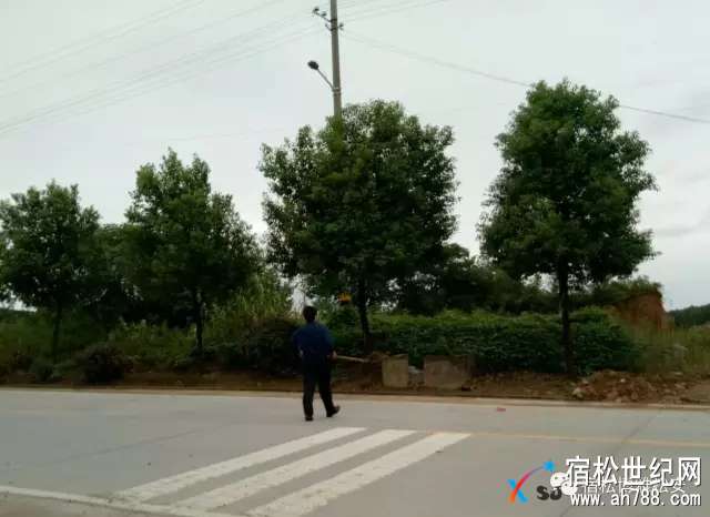 王2.webp.jpg