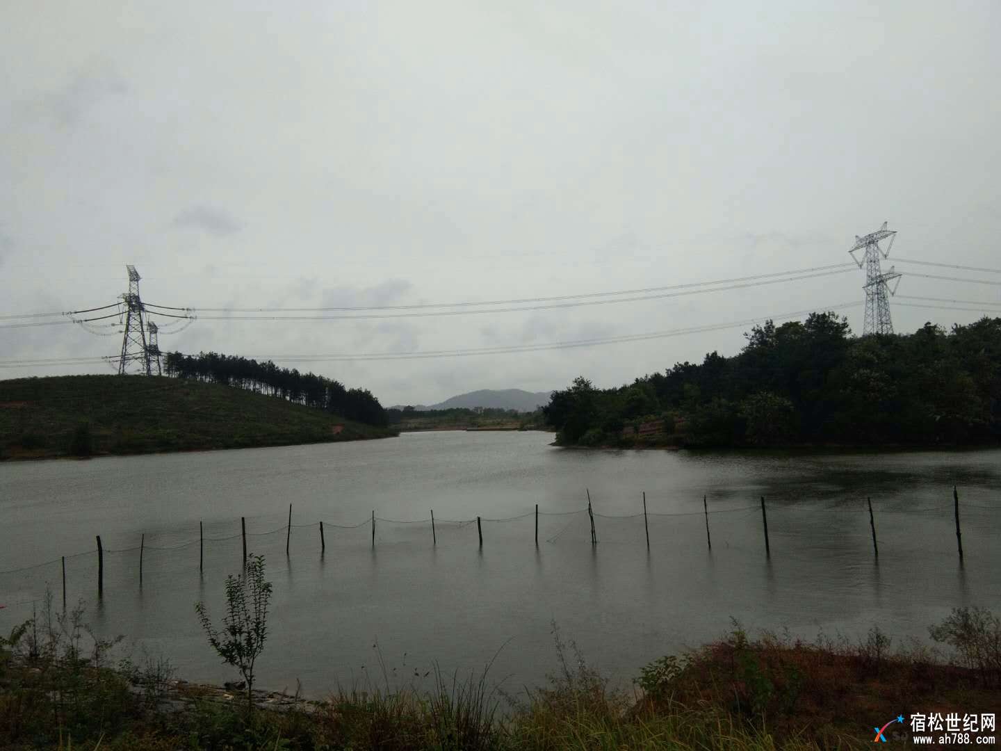 mmexport1508125099896.jpg