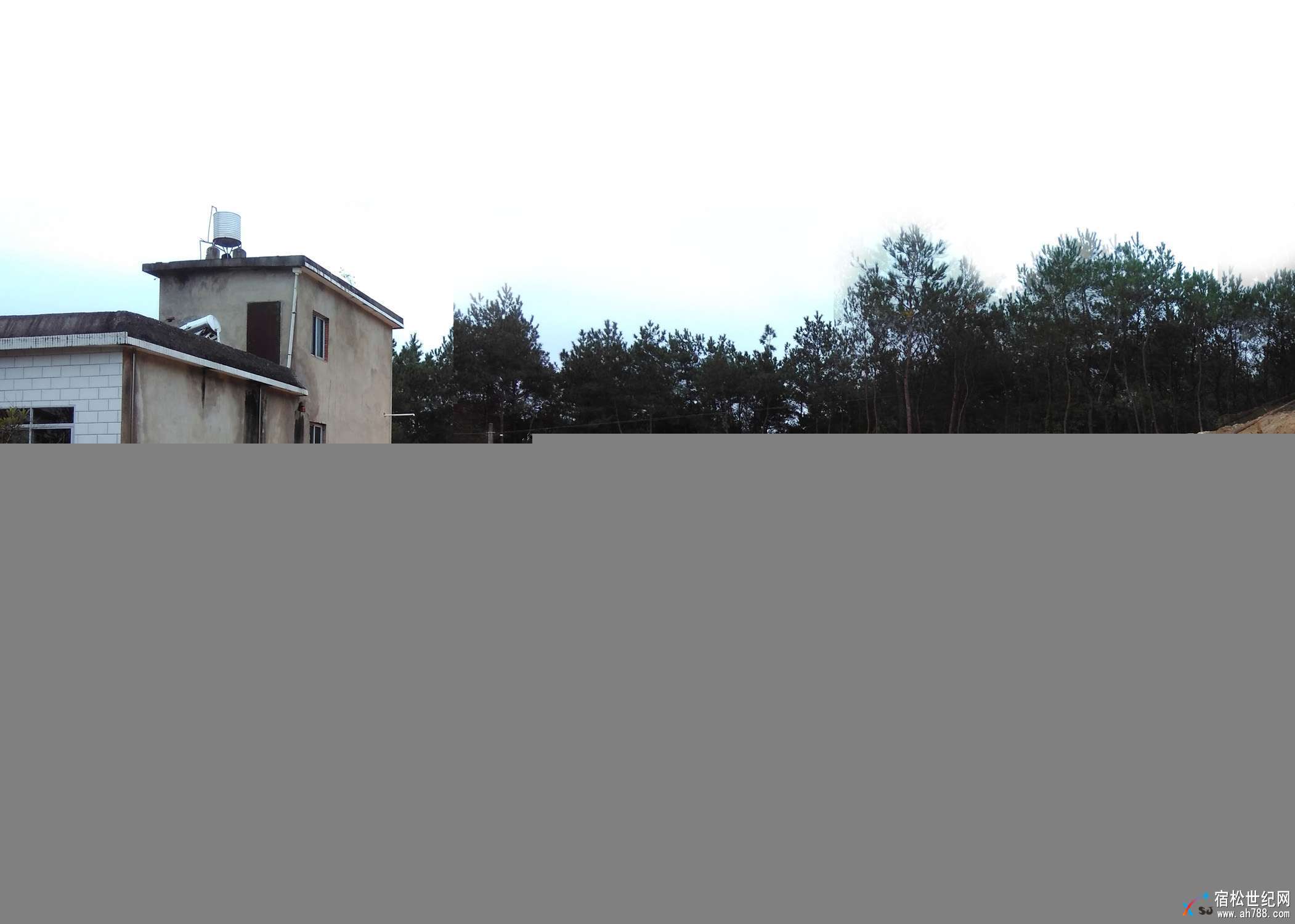 mmexport1507997875746.jpg