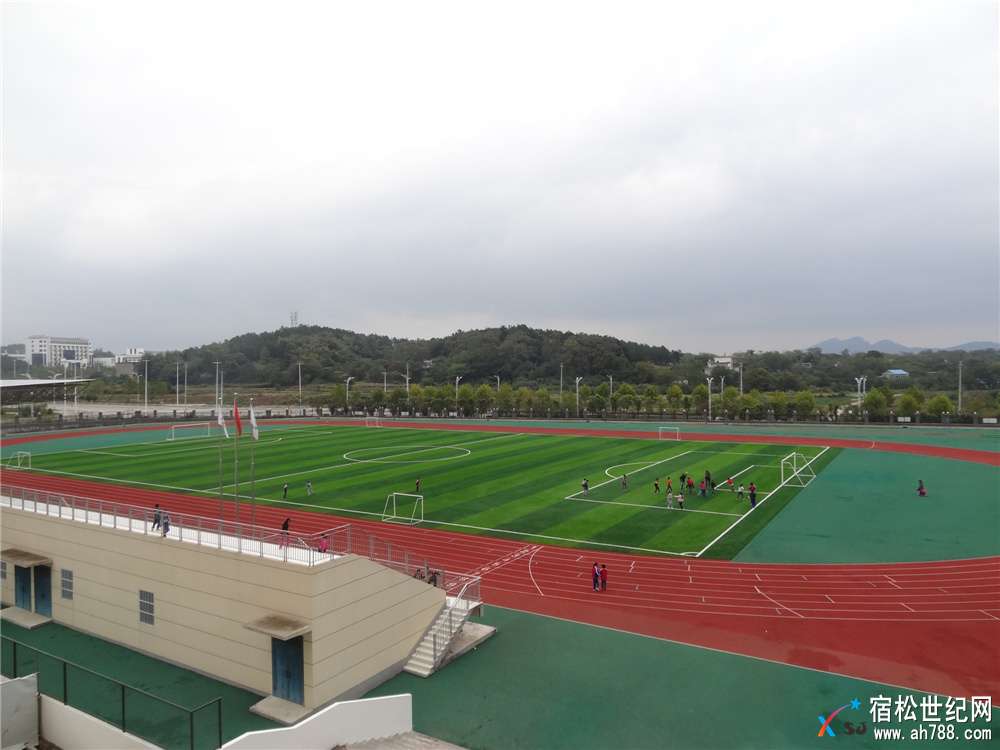 DSC03834.jpg