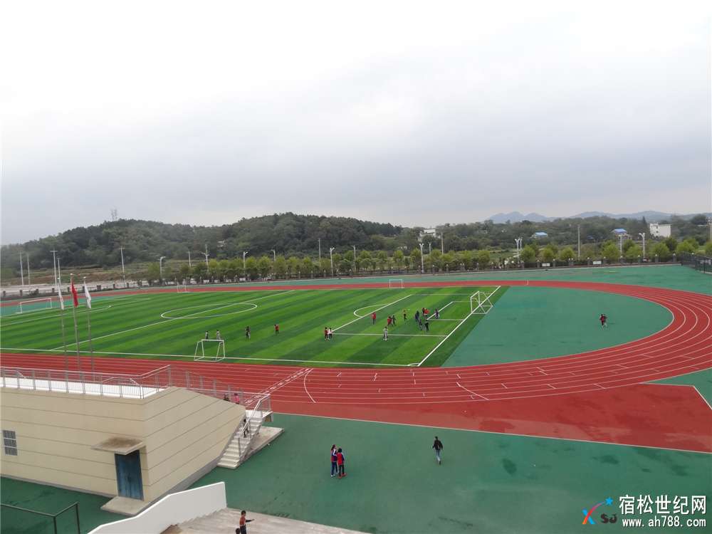 DSC03832.jpg