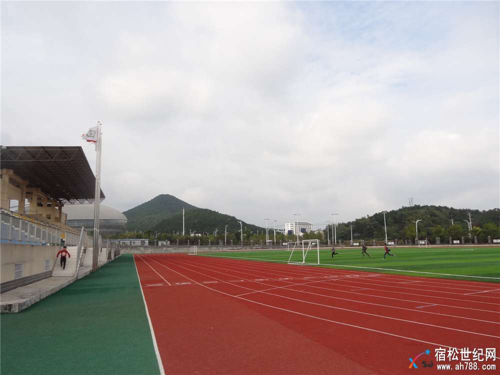 DSC03825.jpg