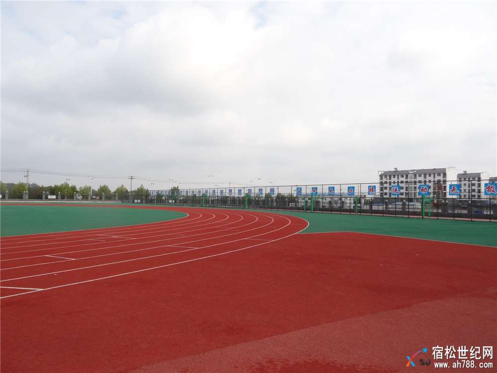 DSC03826.jpg