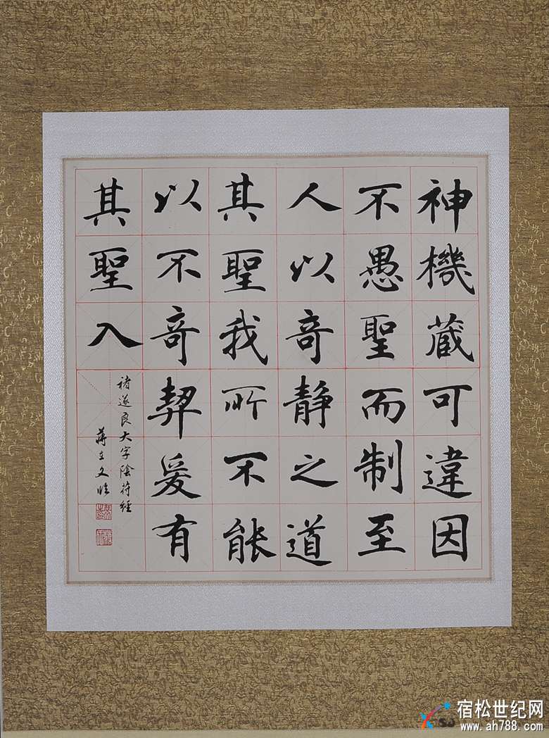 DSC_9895.JPG