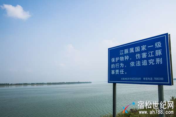 海.jpg