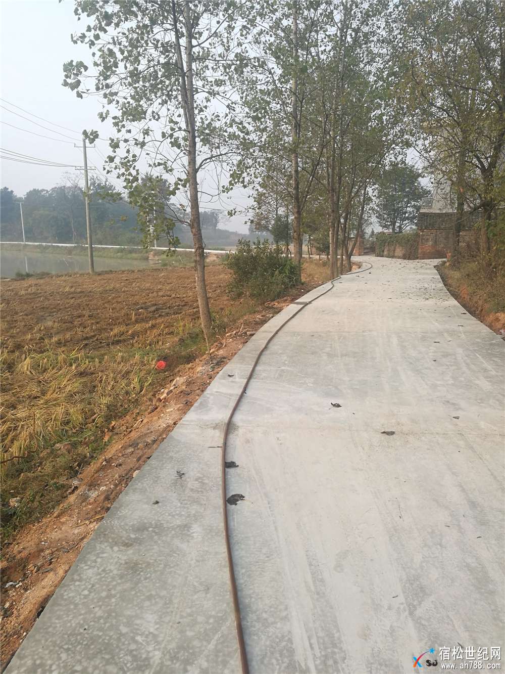 新浇筑的水泥路.jpg