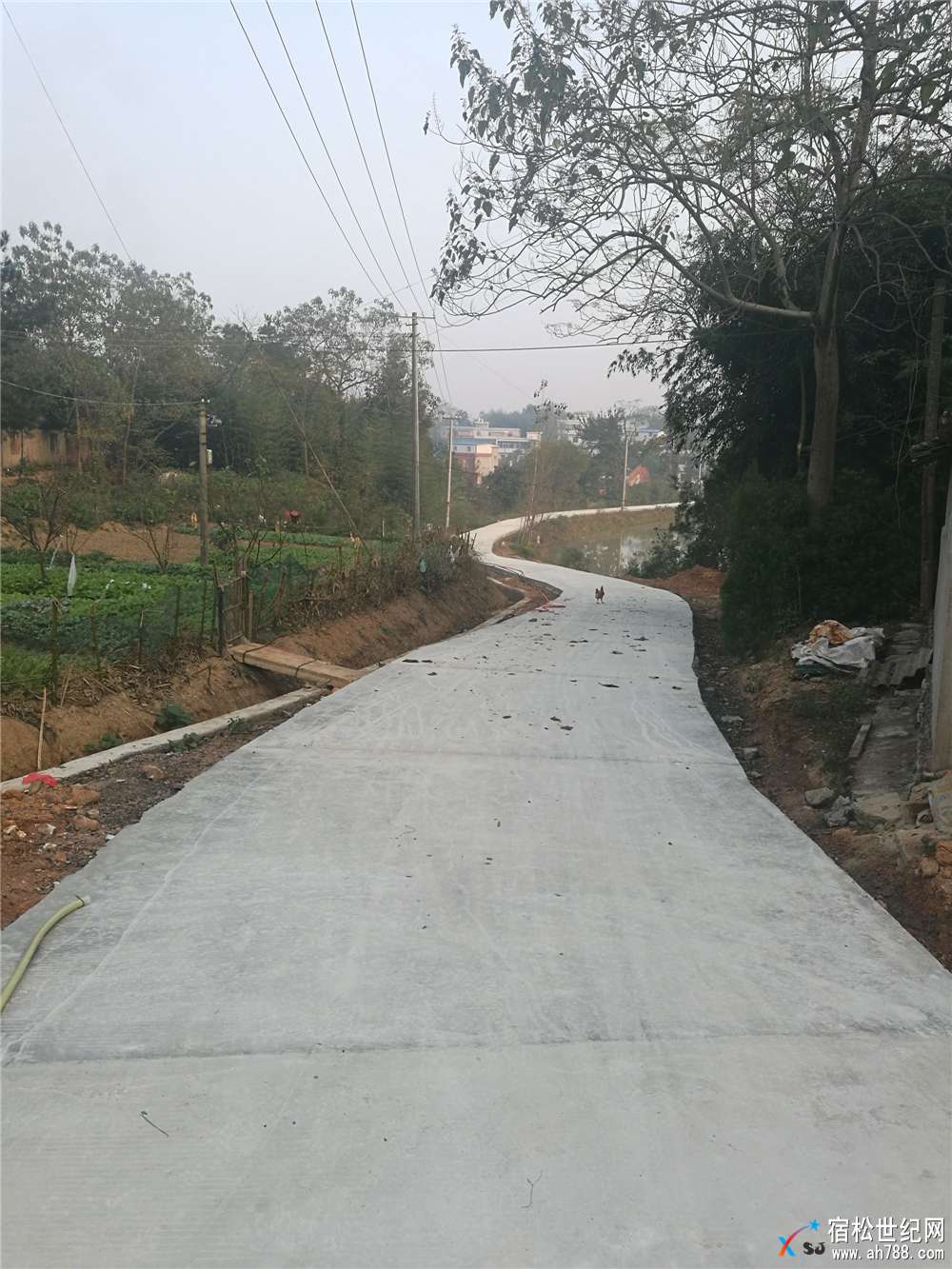 竹峦新建水泥路.jpg