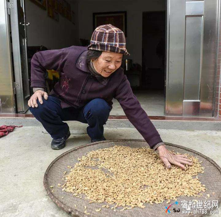 微信图片_20171121173641.jpg