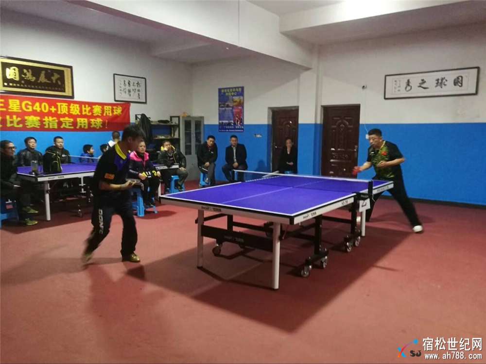 宿松县首届世奥得·好梦圆杯“谁是球王”乒乓球争霸赛成功举行 (5).jpg