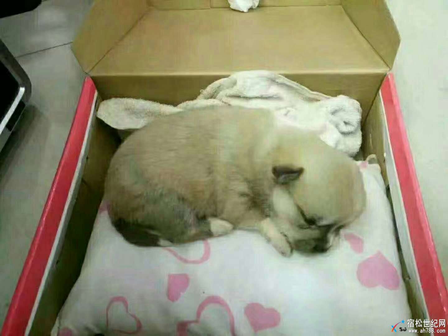 QQ图片20171128124529.jpg