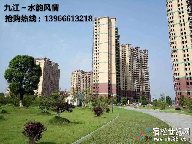 210926dt3ct3cb433hchf8.jpg