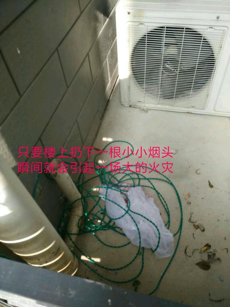 mmexport1512441716363.jpeg