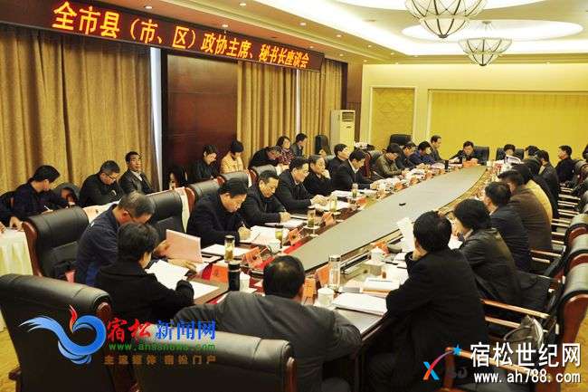 安庆市县（市、区）政协主席、秘书长座谈会在我县举行 (3).jpg