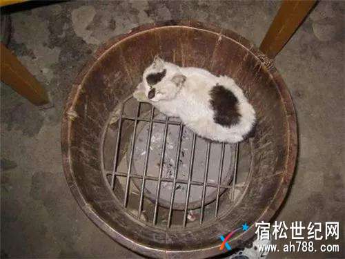 微信图片_20171216223611.jpg