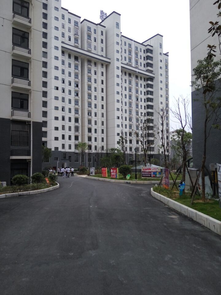 QQ图片20160610140432.jpg
