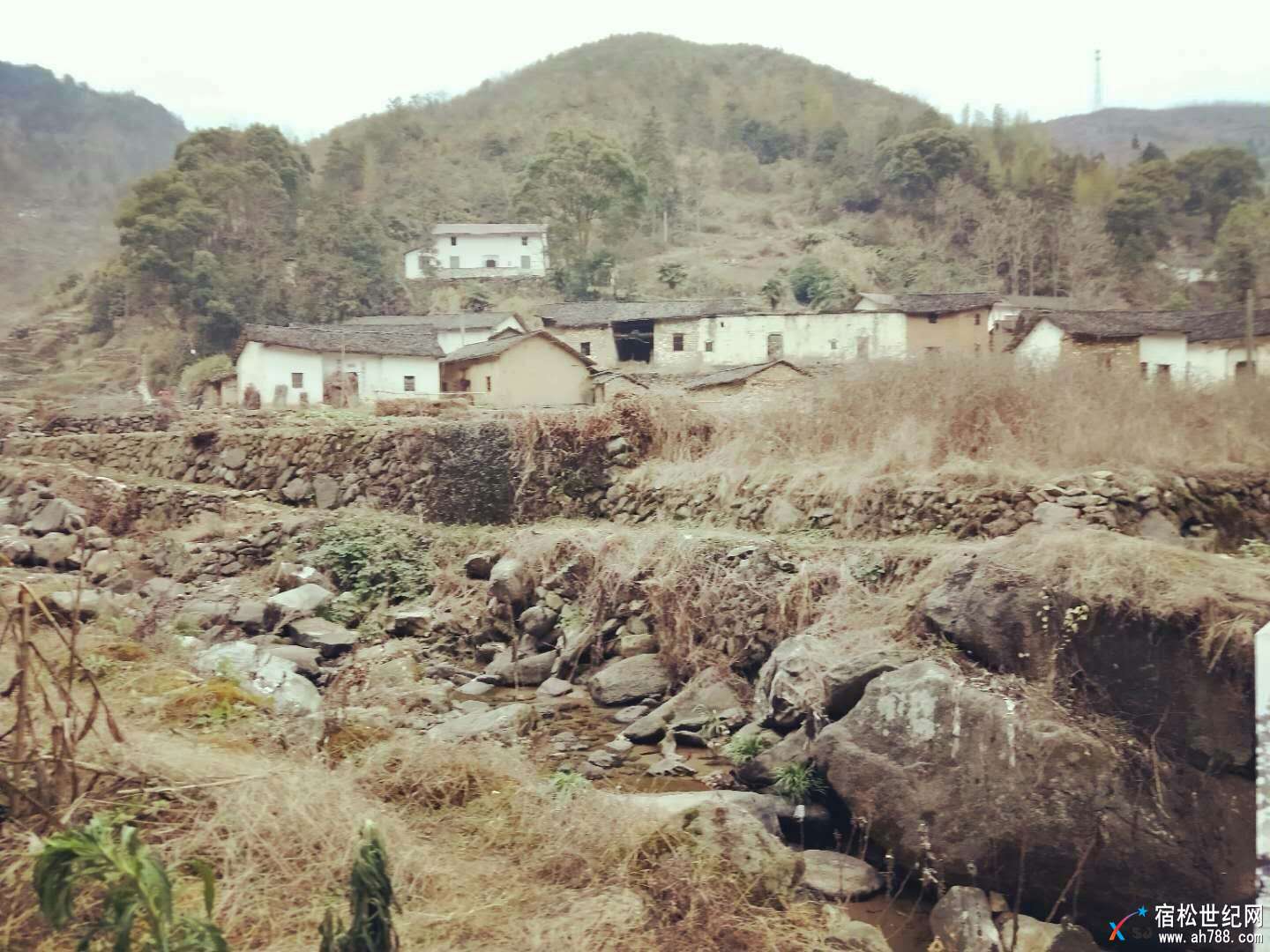 古井2.jpg