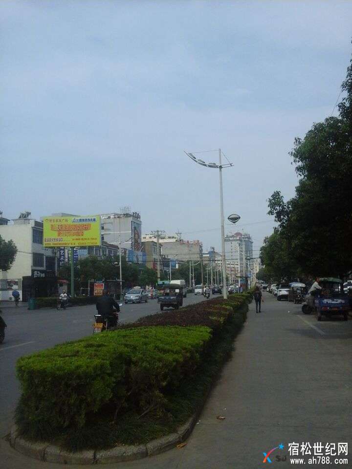 孚玉中路步行街9.jpg