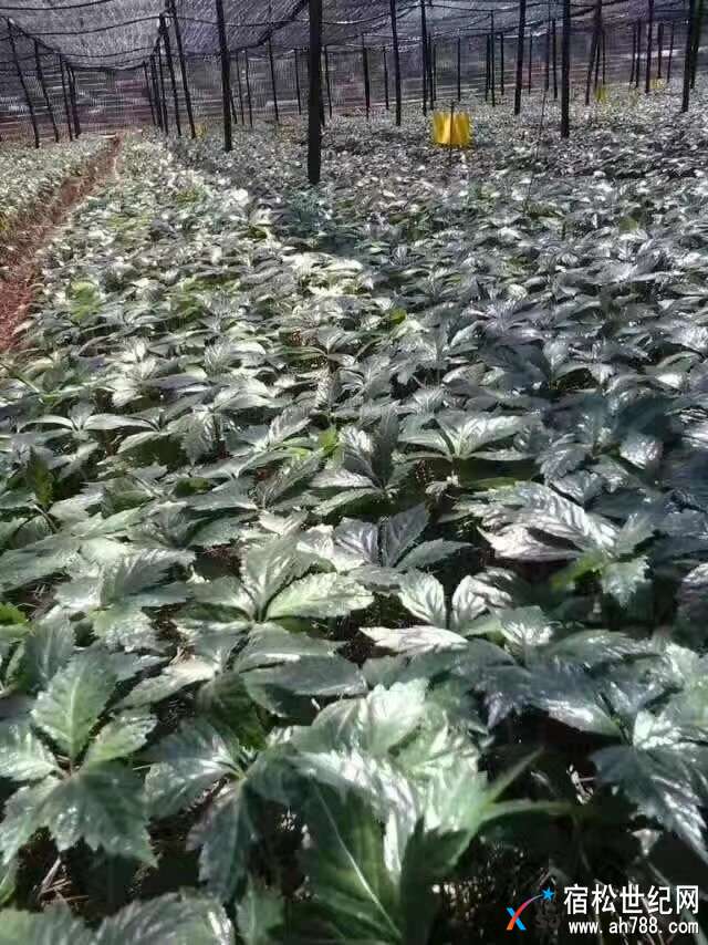 微信图片_20171230105736.jpg