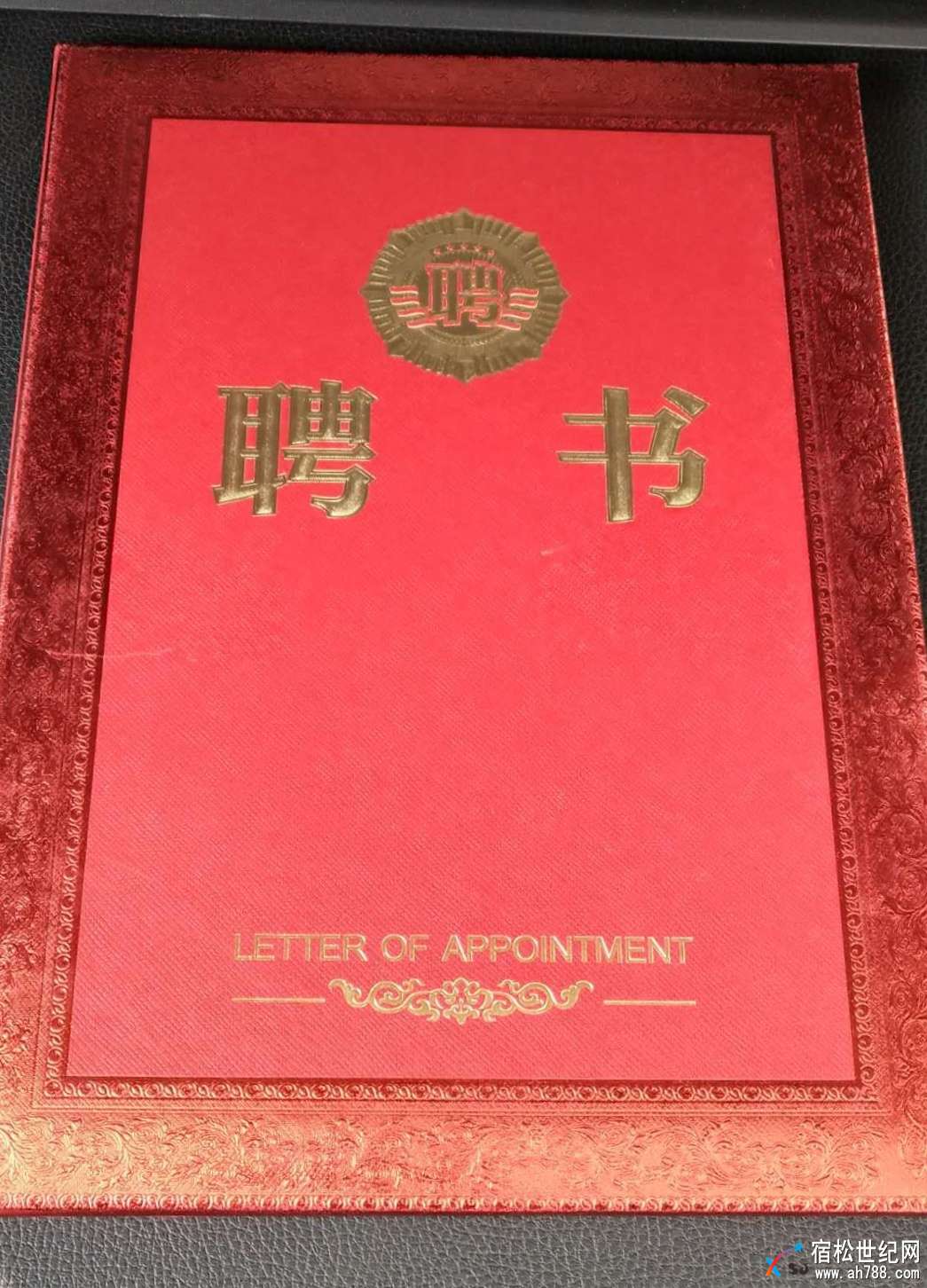 宿松蓝天救援队 (2).jpg