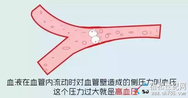 图片17.png