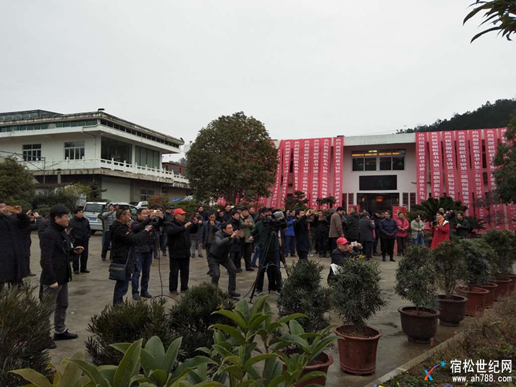 IMG20180106102517_副本.jpg