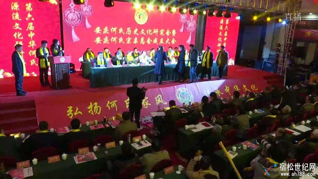 何氏，安庆何氏宗庆会成立，宿松世纪网 (15).jpg