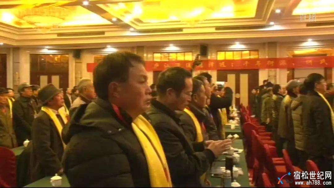 何氏，安庆何氏宗庆会成立，宿松世纪网 (33).jpg