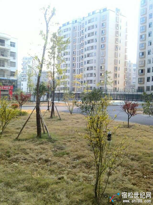 水岸国际11.jpg
