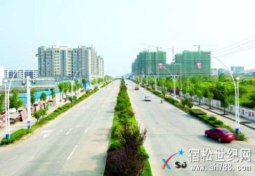 131512d9ts3g7979rp5ppk.jpg
