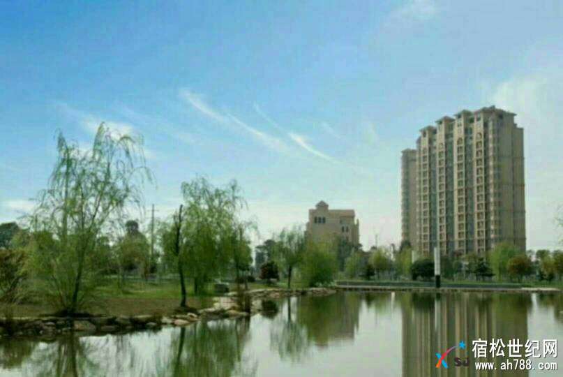 153638em1fe43v414rsw00.jpg