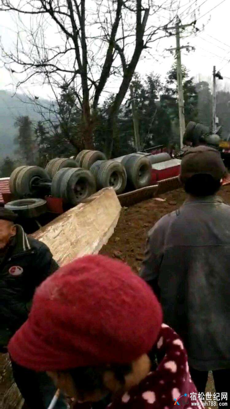 mmexport1516091244995.jpeg
