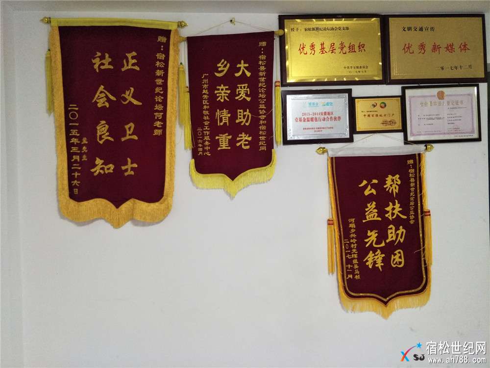 世纪论坛锦旗荣誉章.jpg