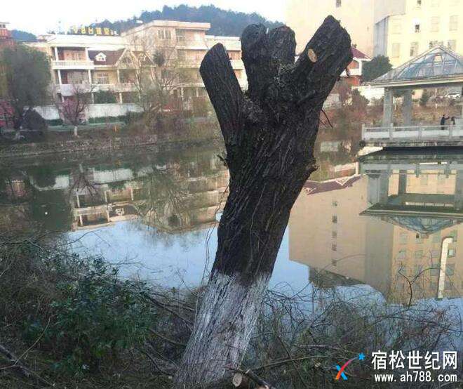 QQ截图20180118111334.jpg