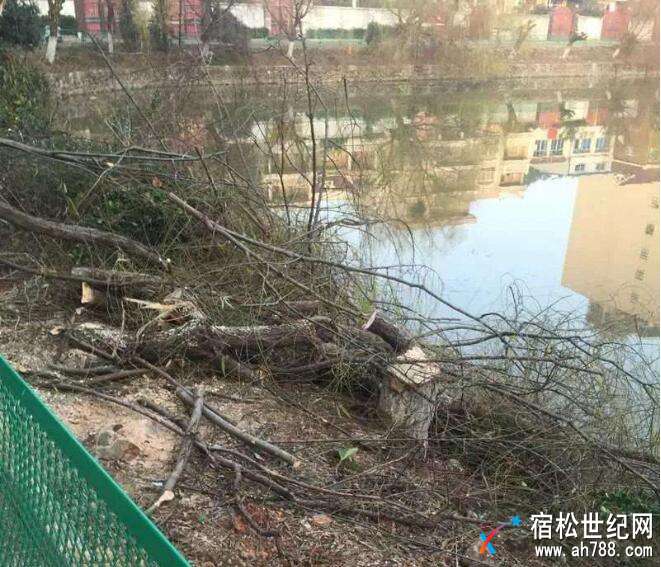 QQ截图20180118111347.jpg