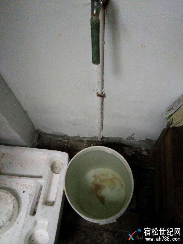 212248x5e0m00ss4r0sft5.jpg