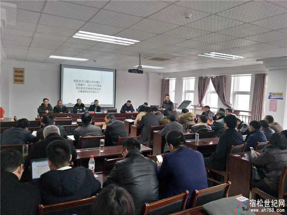 宿松新地王，打造新地标！宿松和顺置业，宿松世纪网摄 (3).jpg