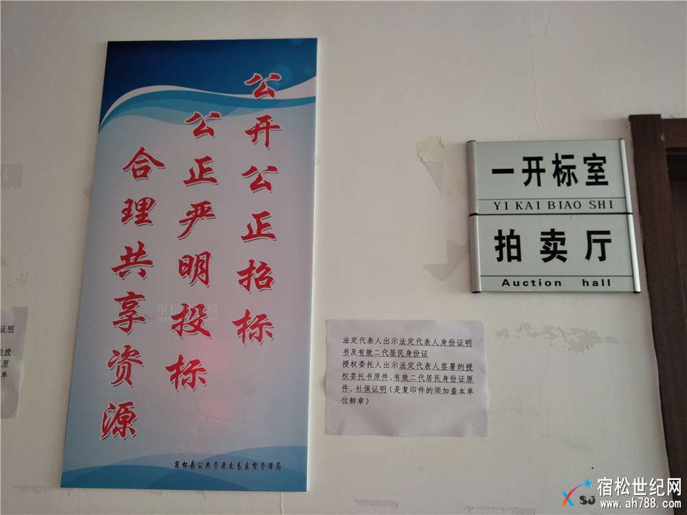 宿松新地王，打造新地标！宿松和顺置业，宿松世纪网摄 (1).jpg