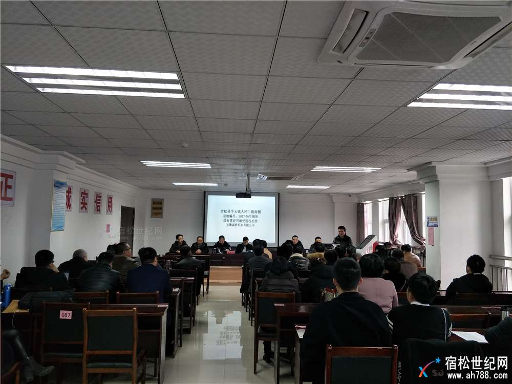 宿松新地王，打造新地标！宿松和顺置业，宿松世纪网摄.jpg