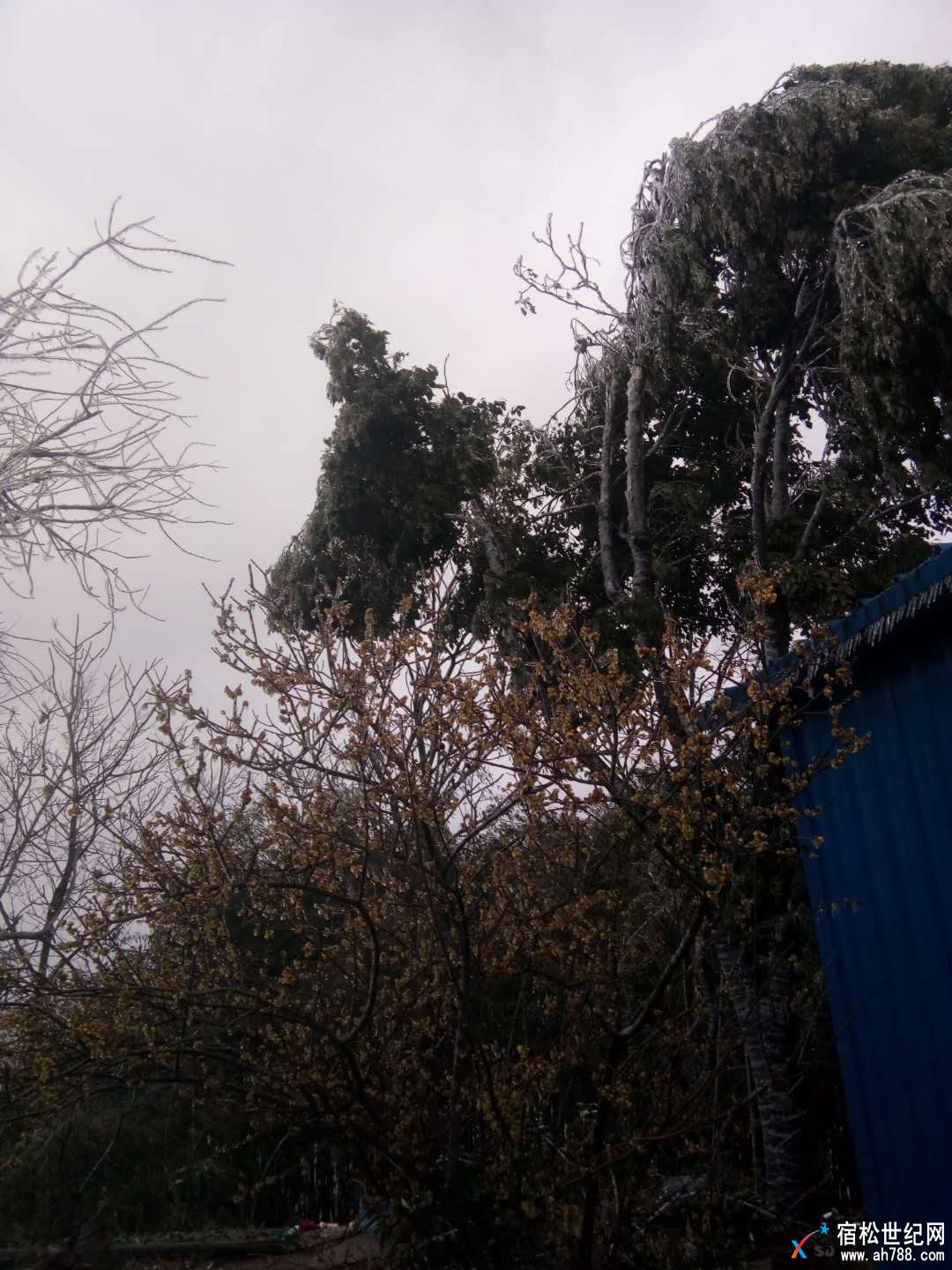 微信图片_20180125092032.jpg
