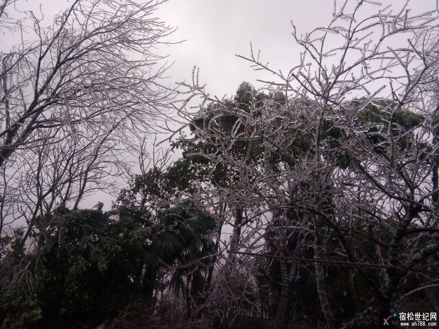 微信图片_20180125092128.jpg