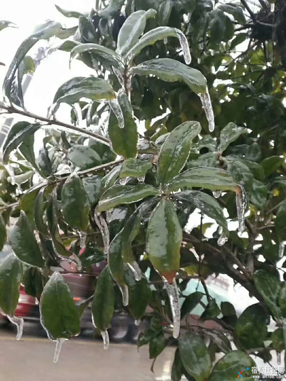 微信图片_20180125113229.jpg