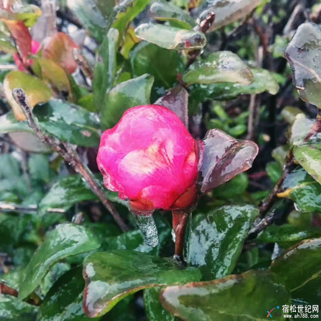 微信图片_20180125113252.jpg