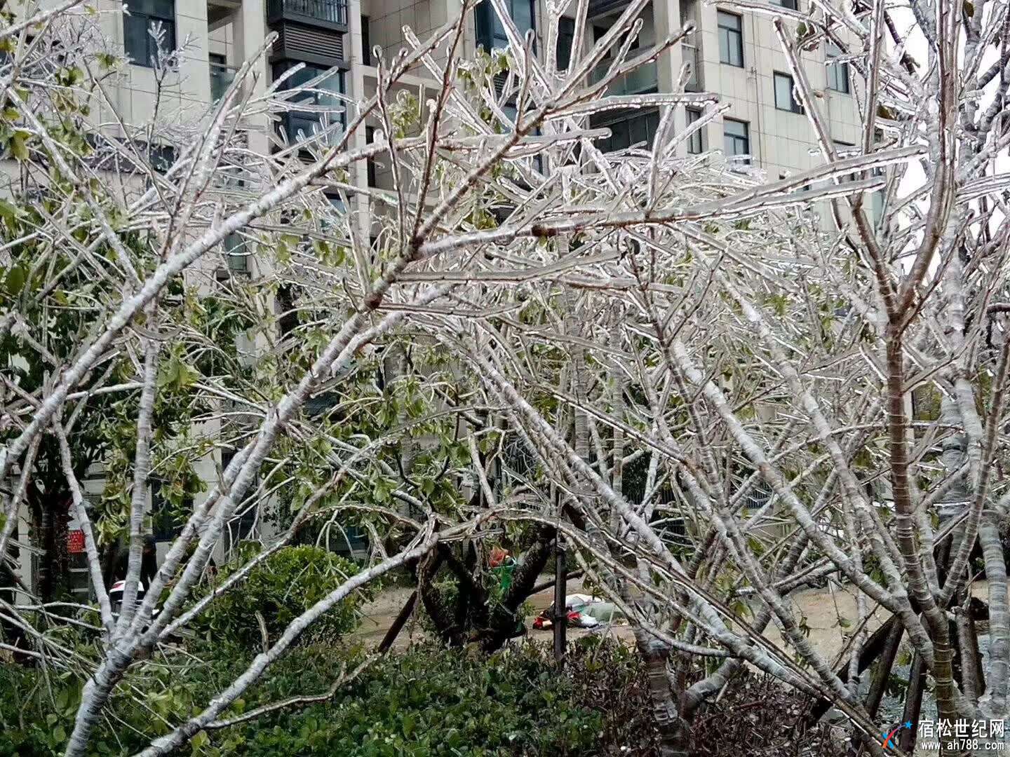微信图片_20180125140032.jpg