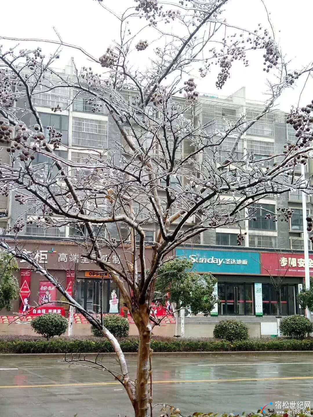 微信图片_20180125133749.jpg