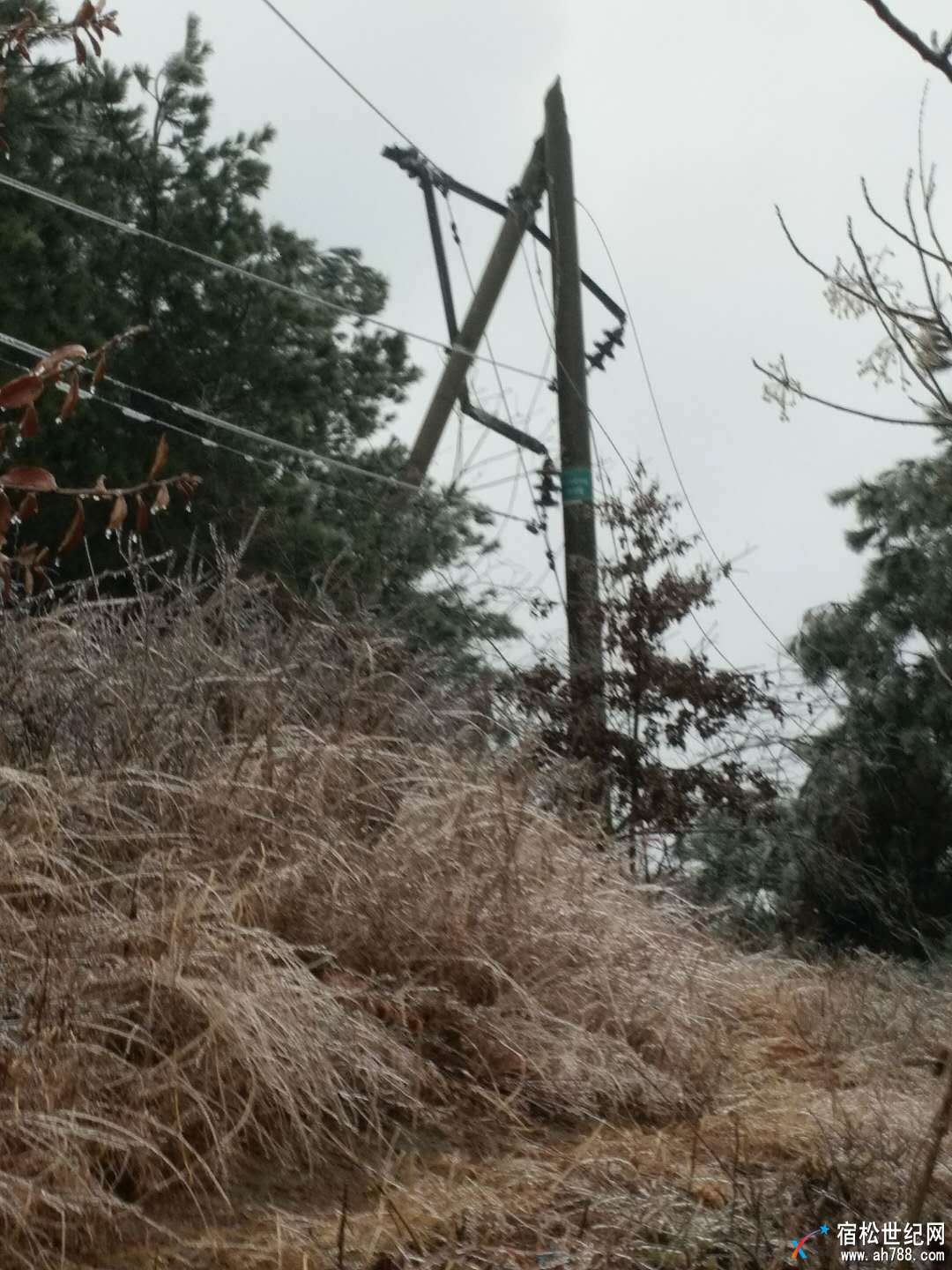 微信图片_20180125201606.jpg