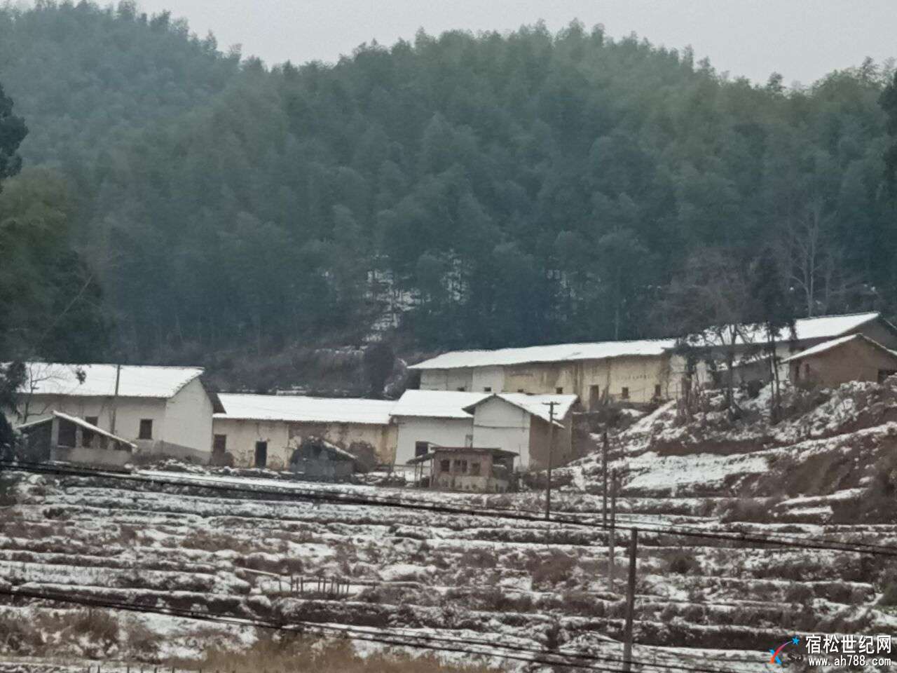 雪1.jpg